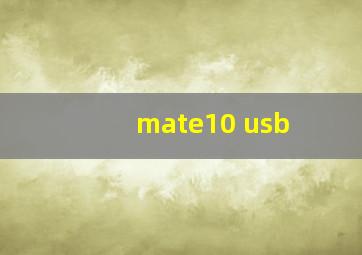 mate10 usb